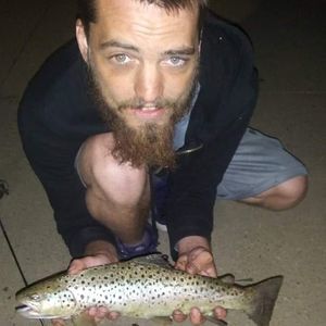 Meet your Posher, Charles